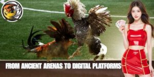 From Ancient Arenas to Digital Platforms