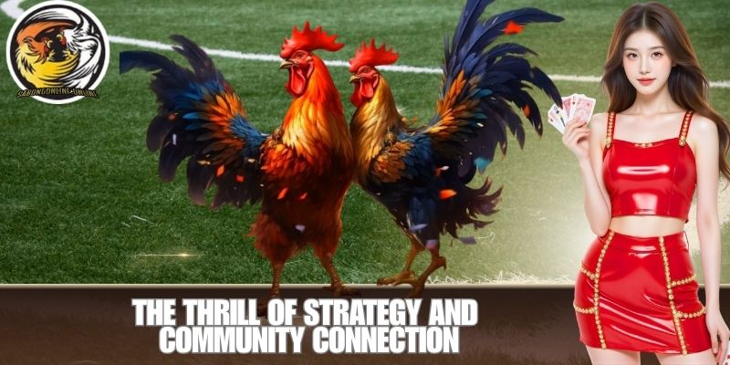 The Thrill of Strategy and Community Connection