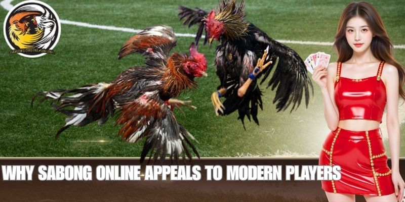 Why Sabong Online Appeals to Modern Players